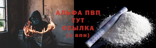 твердый Ростов