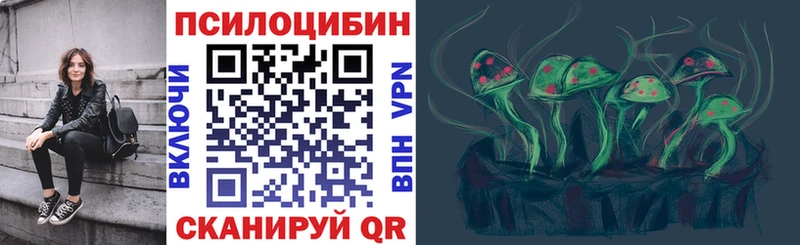 Купить где Удачный Галлюциногенные грибы Psilocybe